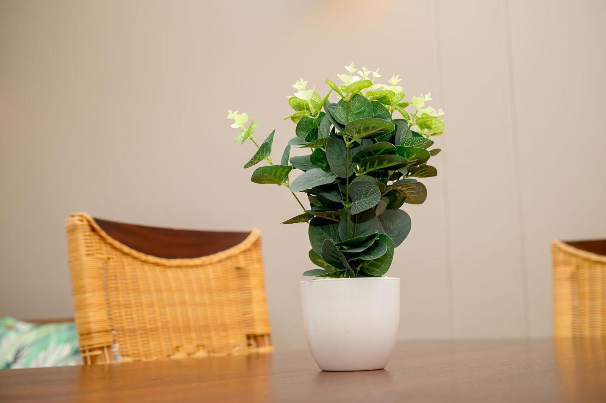 Urban Oasis Apartments At Hidas ويندهوك المظهر الخارجي الصورة